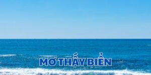 Giải mã mơ thấy biển chi tiết nhất CF68